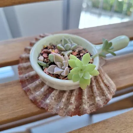 Апартаменты Bilic *